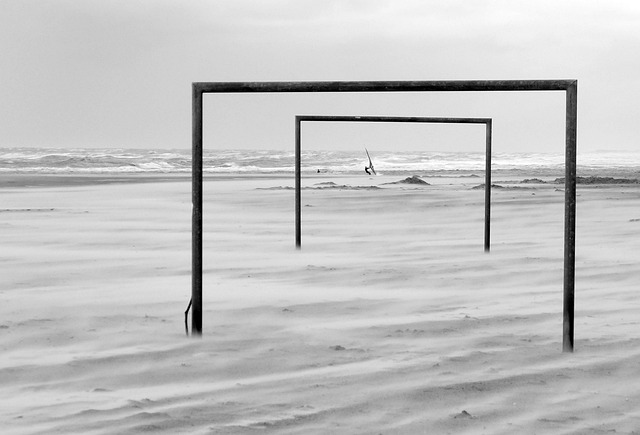 球迷带来了 球迷带来了