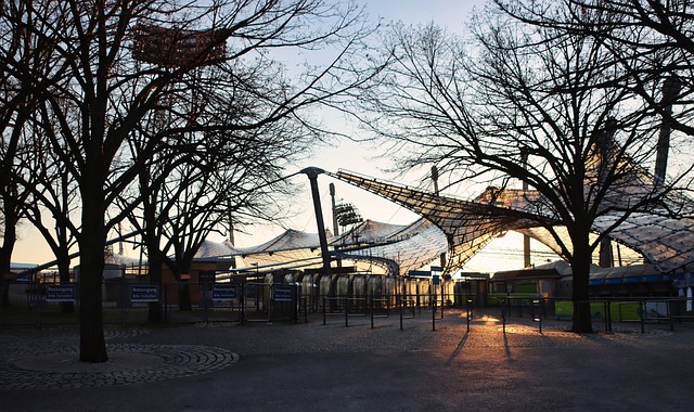 行為提出了 行為提出了