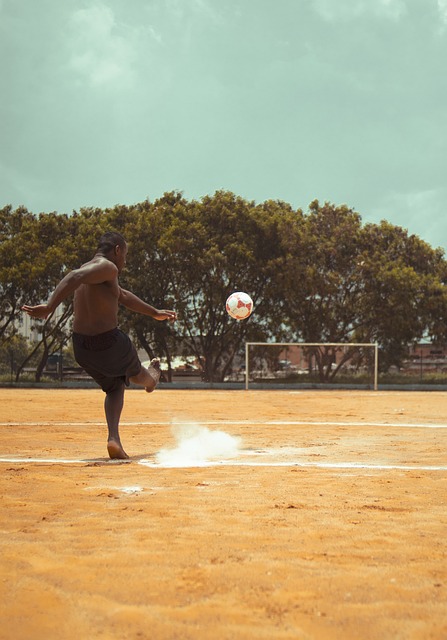 示了比利亚 示了比利亚