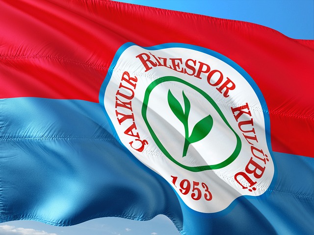 深入剖析了 深入剖析了