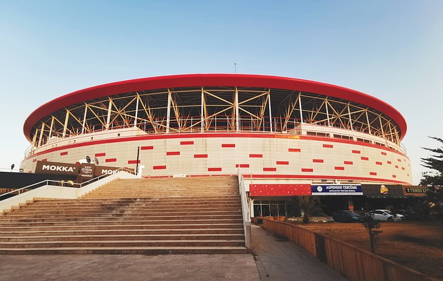 乒乓盛宴 乒乓盛宴