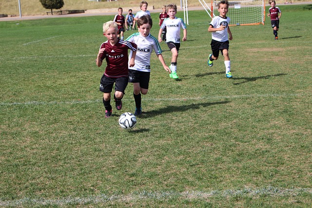 丙和低级别 丙和低级别