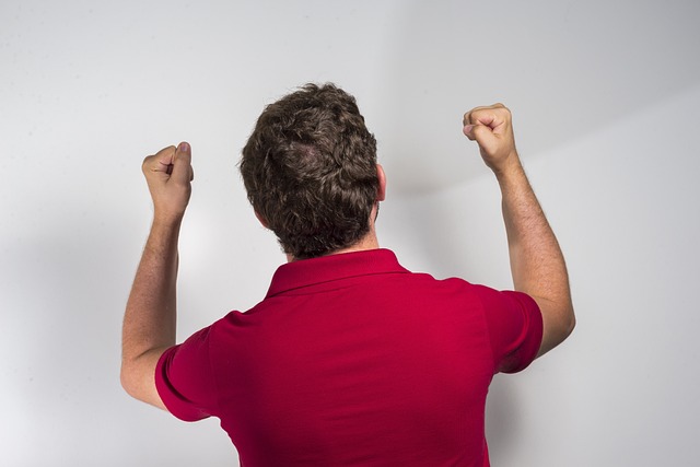 領袖的政策 領袖的政策