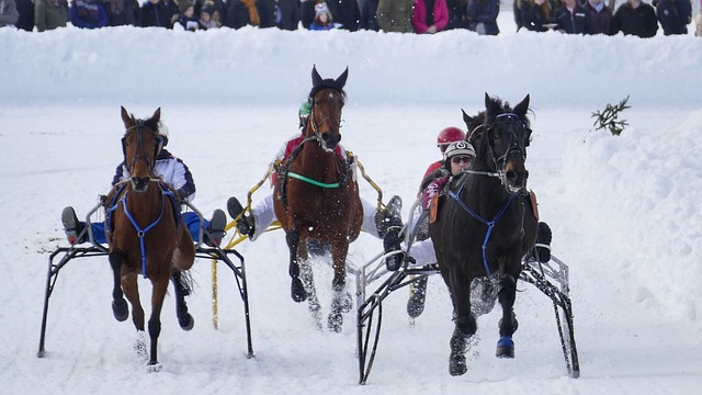 试验种植及 试验种植及