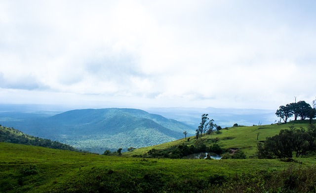 探讨这位篮 探讨这位篮