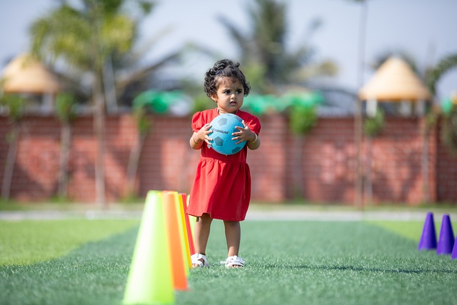 的完美结合 的完美结合