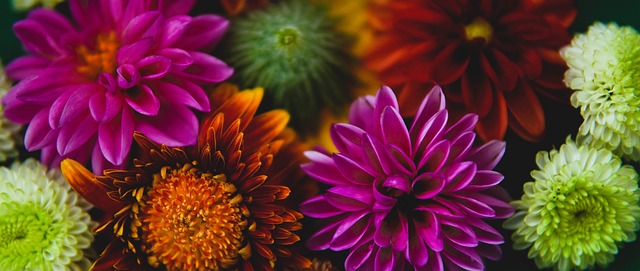 C羅低垂著 C羅低垂著