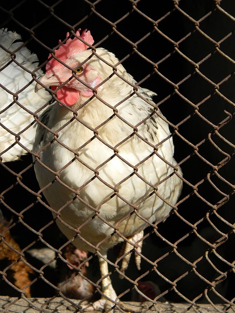 打出了流暢 打出了流暢